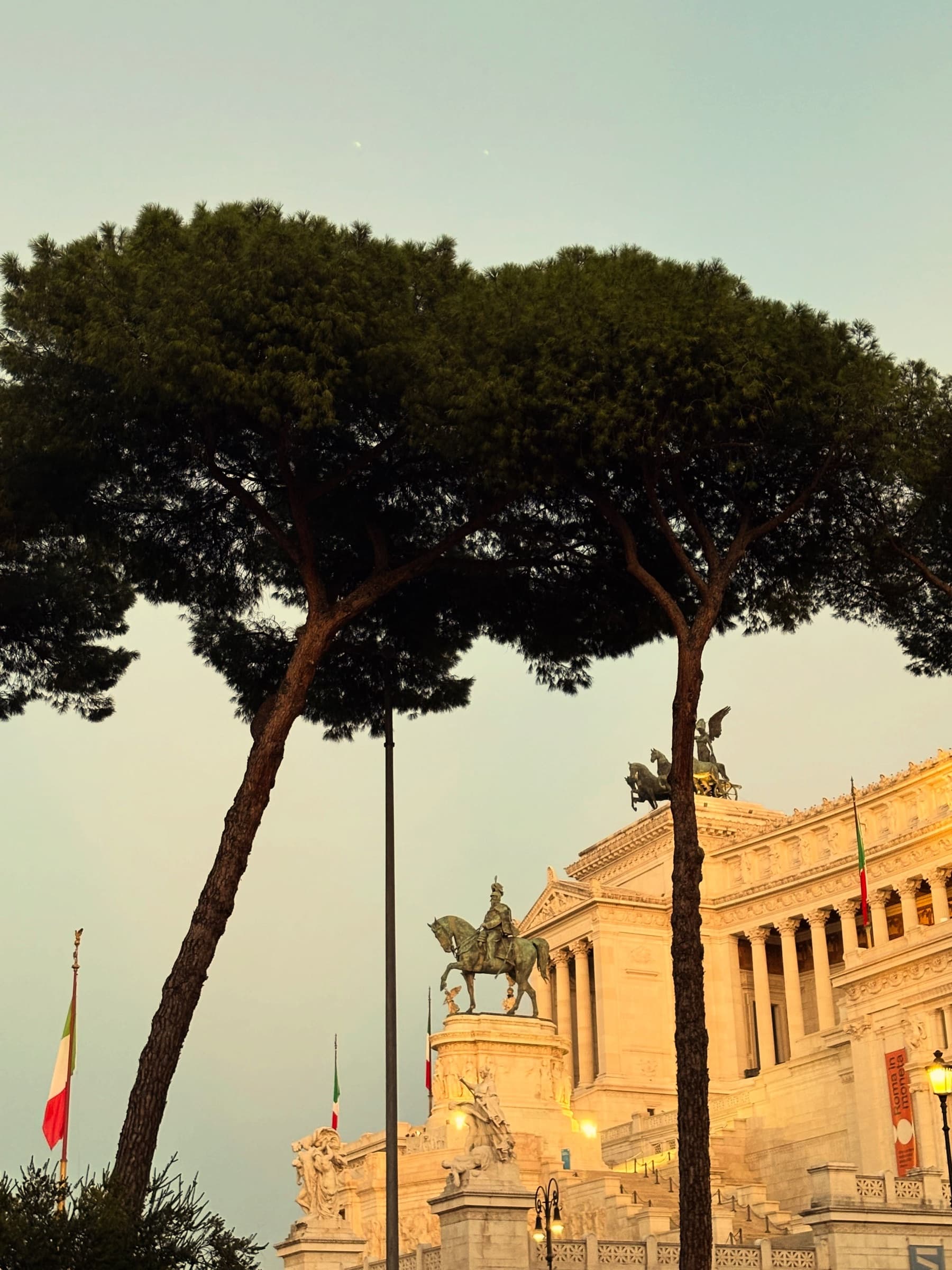 Umbrella pines in front of a white marble monument