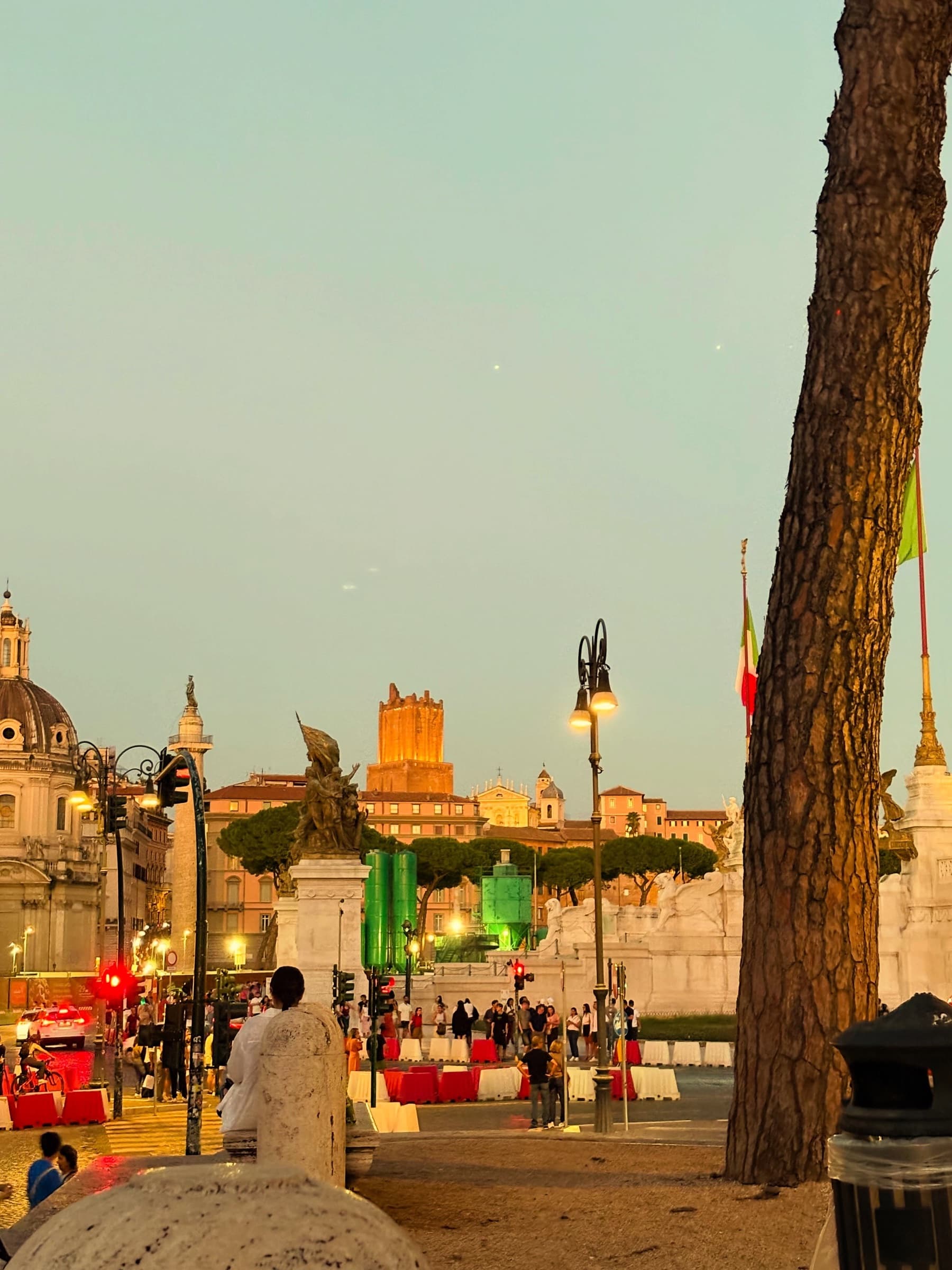 Street lamps and flags on an evening avenue